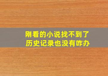 刚看的小说找不到了 历史记录也没有咋办